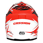 cassida cup 2