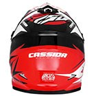 cassida cup 2