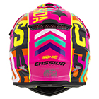 cassida sonic